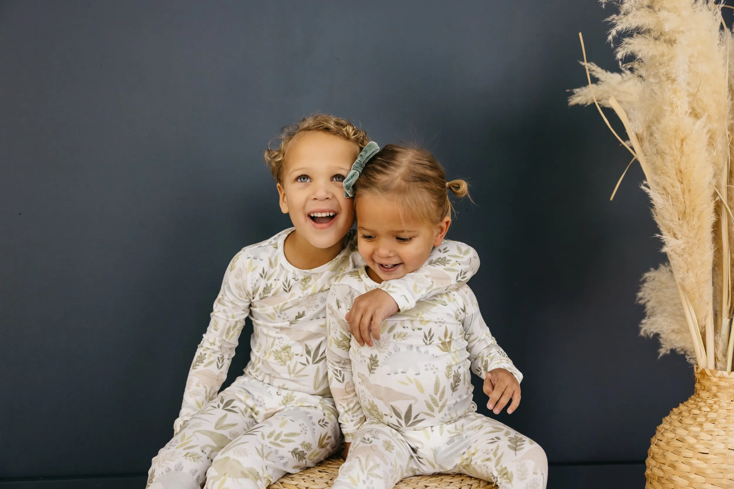 2pc Long Sleeve Pajama Set - Rex