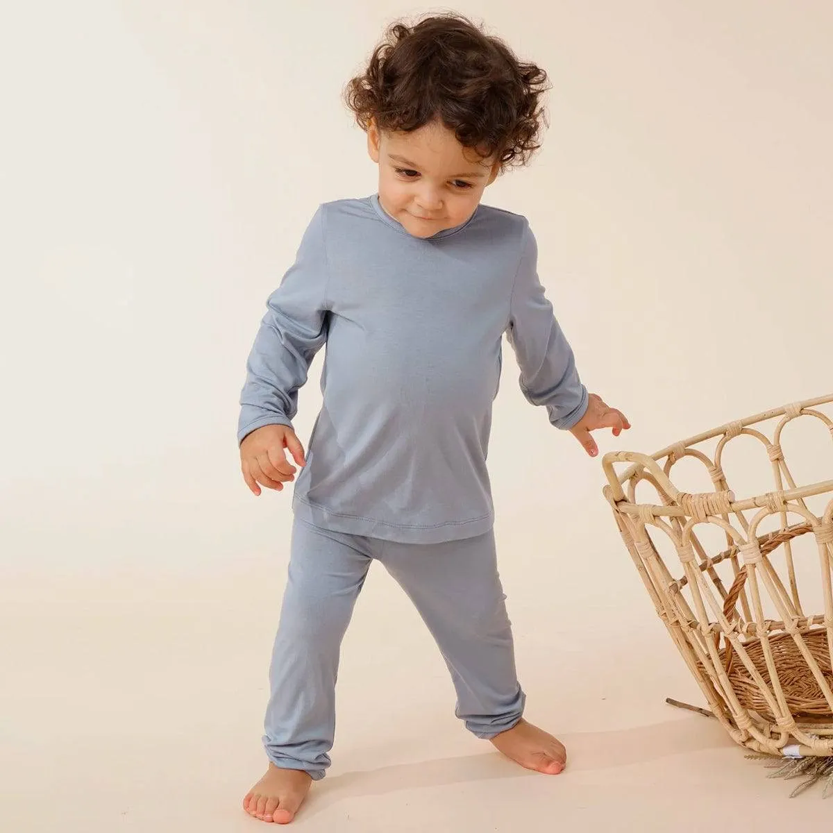 Bamboo Baby Toddler Long Sleeve Pajama Set - Grayish Blue