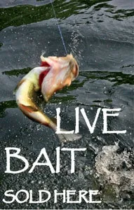 Live Bait Sold Here- Coroplast Panel for WindmasterTM FP Frame